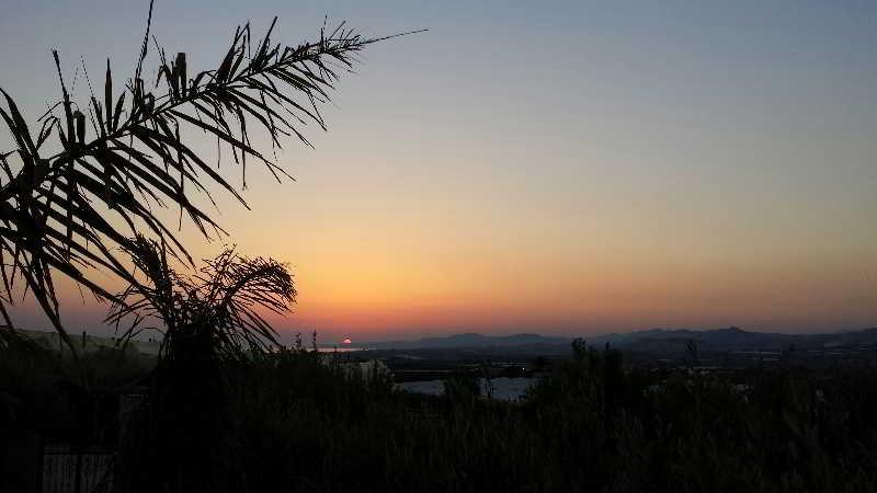 Il Mirto E La Rosa Bed and Breakfast Αγκριτζέντο Εξωτερικό φωτογραφία